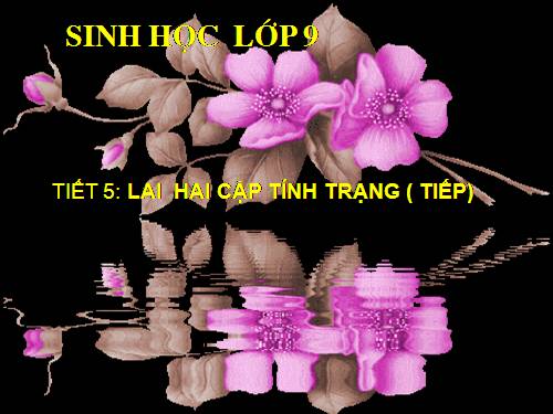 Bài 5. Lai hai cặp tính trạng (tiếp theo)