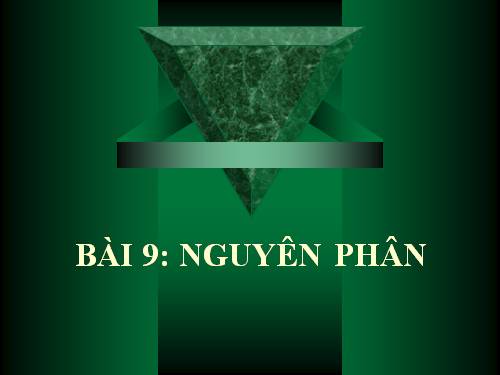 Bài 9. Nguyên phân