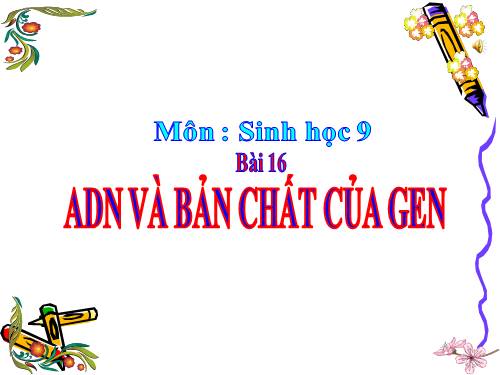 Bài 16. ADN và bản chất của gen