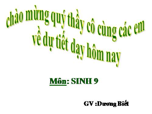 Bài 19. Mối quan hệ giữa gen và tính trạng