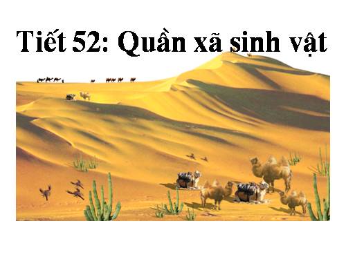 Bài 49. Quần xã sinh vật