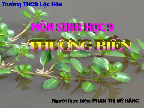 Bài 25. Thường biến