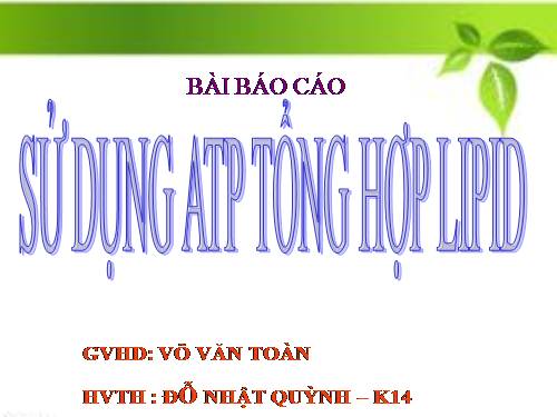 Năng lượng sinh học 3