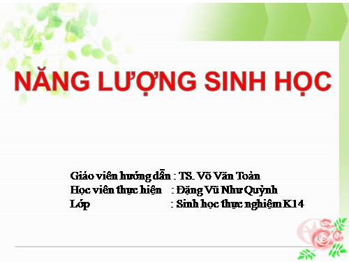 Năng lượng sinh học 1