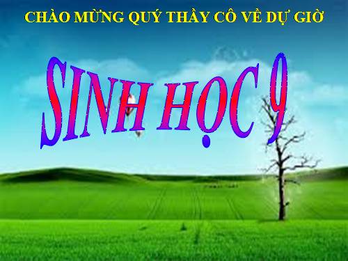 Bài 55. Ô nhiễm môi trường (tiếp theo)