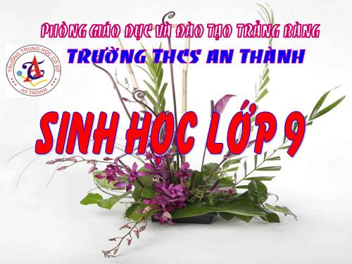 Bài 54. Ô nhiễm môi trường