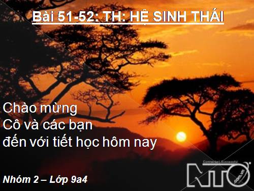 Bài 51. Thực hành: Hệ sinh thái