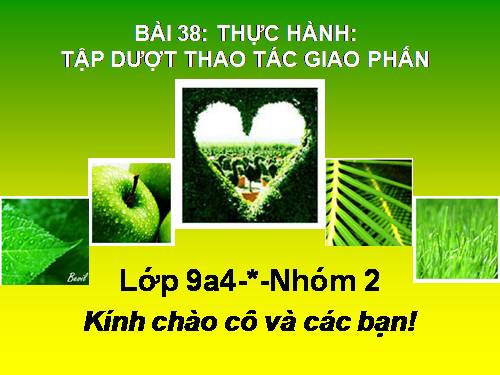 Bài 38. Thực hành: Tập dượt thao tác giao phấn