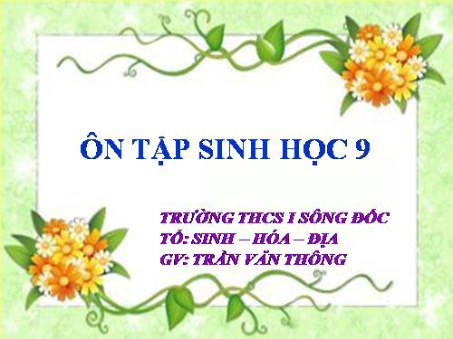 Bài 63. Ôn tập phần Sinh vật và môi trường