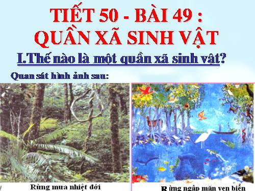 Bài 49. Quần xã sinh vật