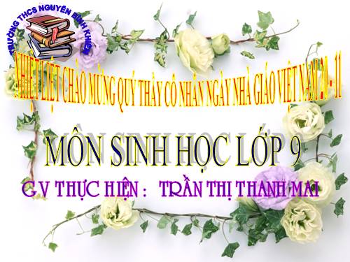 Bài 23. Đột biến số lượng nhiễm sắc thể