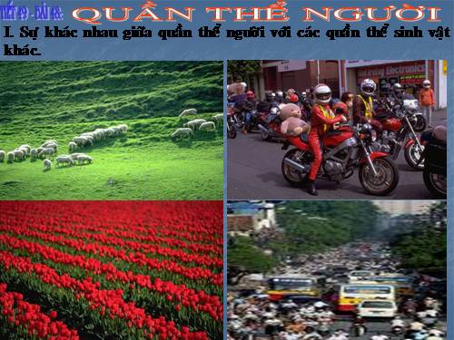 Bài 48. Quần thể người