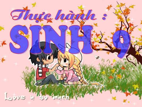 Bài 45. Thực hành: Tìm hiểu môi trường và ảnh hưởng của một số nhân tố sinh thái lên đời sống sinh vật