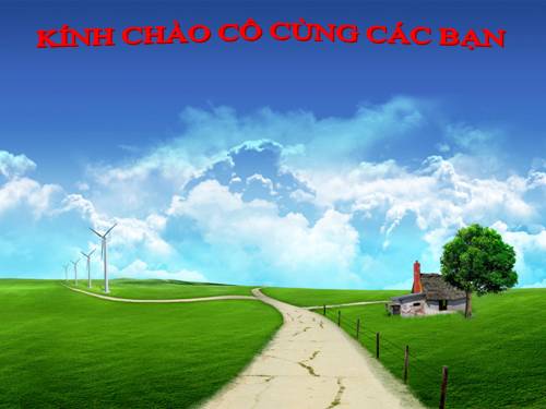 Bài 51. Thực hành: Hệ sinh thái