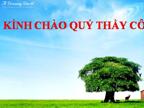 Bài 44. Ảnh hưởng lẫn nhau giữa các sinh vật