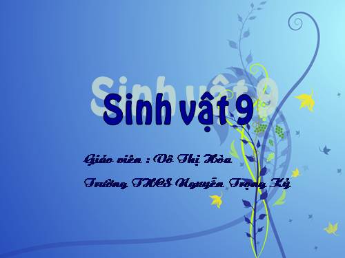 Bài 28. Phương pháp nghiên cứu di truyền người