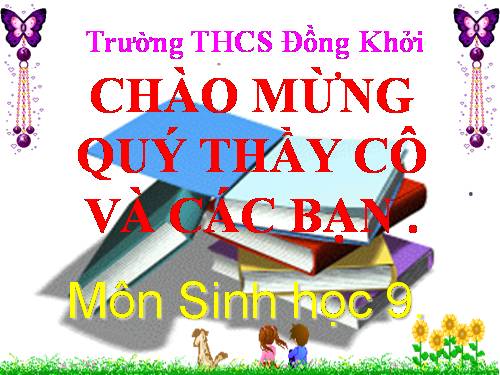 Bài 55. Ô nhiễm môi trường (tiếp theo)