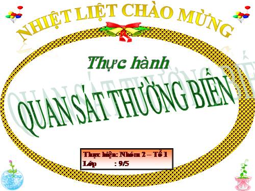 Bài 27. Thực hành: Quan sát thường biến