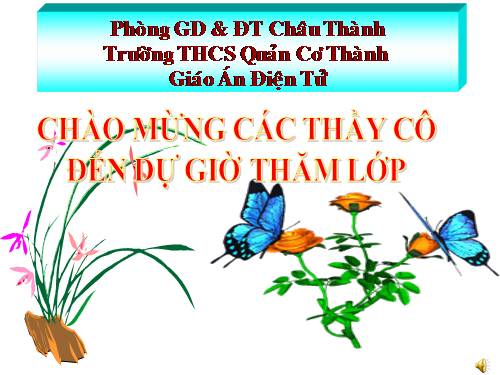 Bài 19. Mối quan hệ giữa gen và tính trạng