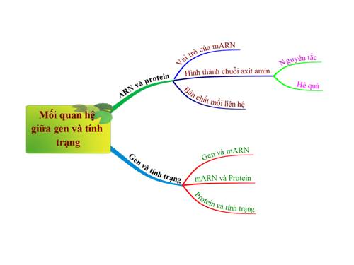 Sinh 9