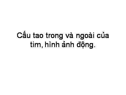 Cấu tạo của tim