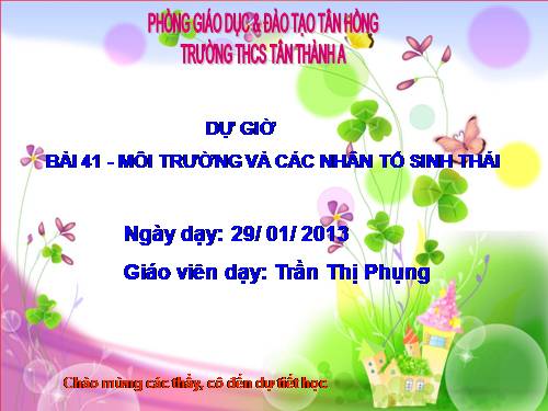 Bài 41. Môi trường và các nhân tố sinh thái
