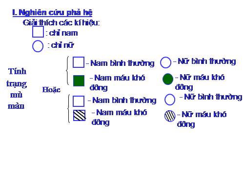 Bài 28. Phương pháp nghiên cứu di truyền người