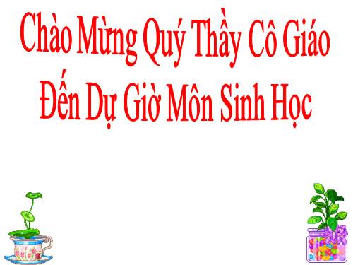 Bài 55. Ô nhiễm môi trường (tiếp theo)