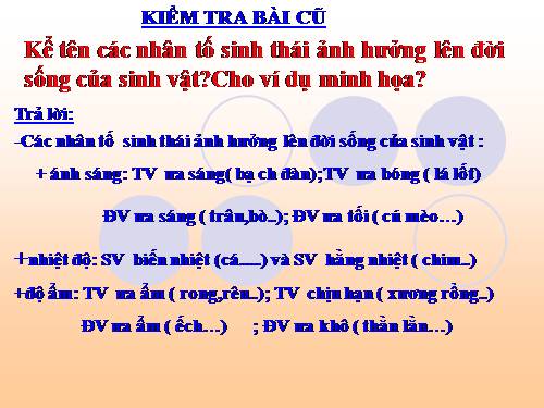 Bài 44. Ảnh hưởng lẫn nhau giữa các sinh vật