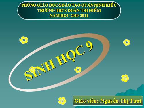 Bài 55. Ô nhiễm môi trường (tiếp theo)