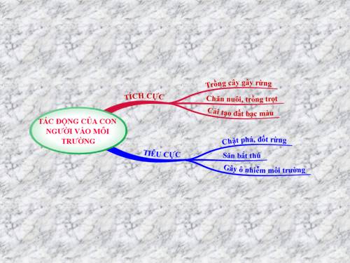 Bài 54. Ô nhiễm môi trường