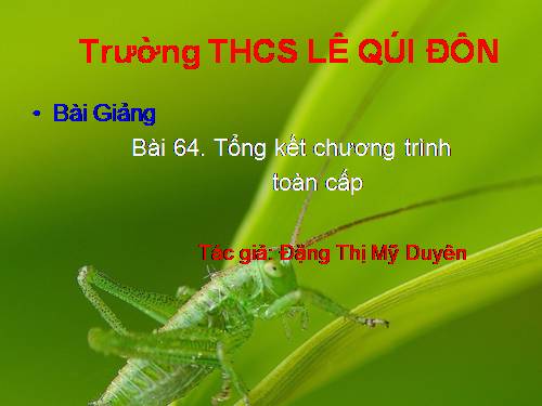 Bài 64. Tổng kết chương trình toàn cấp
