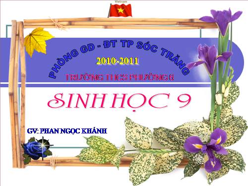 Bài 22. Đột biến cấu trúc nhiễm sắc thể