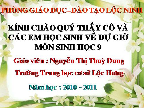 Bài 50. Hệ sinh thái