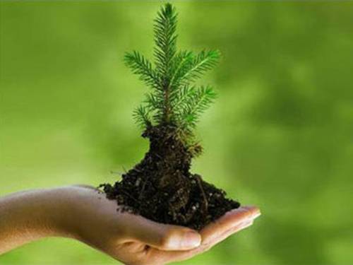 Bài 53. Tác động của con người đối với môi trường