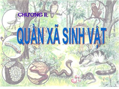 Bài 49. Quần xã sinh vật