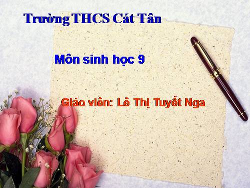 Bài 51. Thực hành: Hệ sinh thái