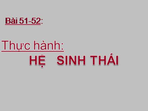 Bài 51. Thực hành: Hệ sinh thái