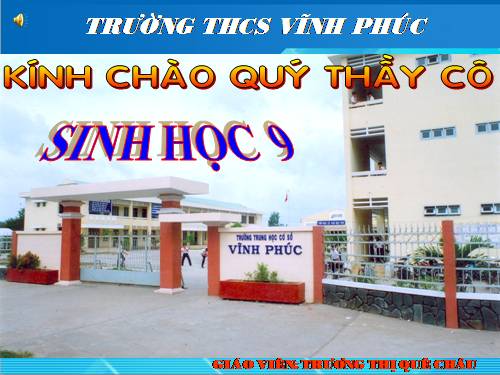 Bài 47. Quần thể sinh vật