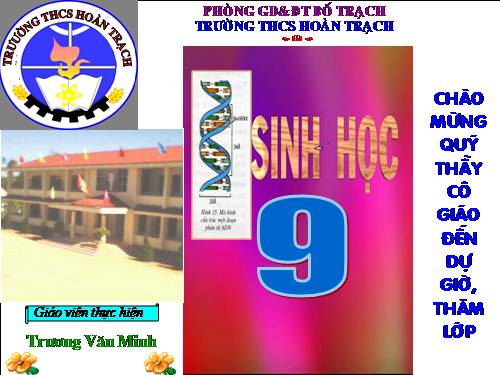Bài 15. ADN