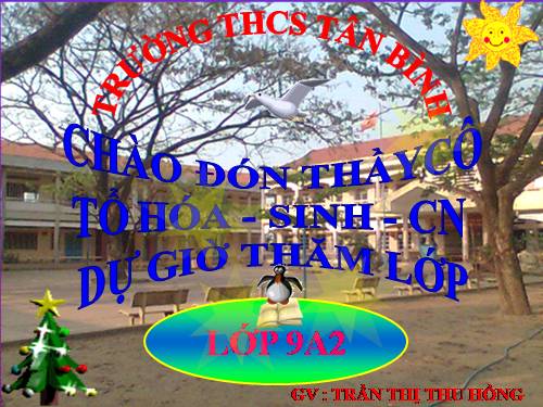 Bài 66. Tổng kết chương trình toàn cấp (tiếp theo)