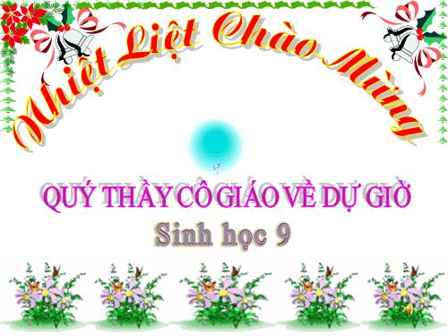 Bài 28. Phương pháp nghiên cứu di truyền người