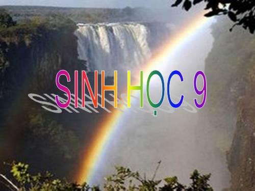 Bài 42. Ảnh hưởng của ánh sáng lên đời sống sinh vật
