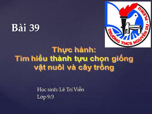 Bài 39. Thực hành: Tìm hiểu thành tựu chọn giống vật nuôi và cây trồng