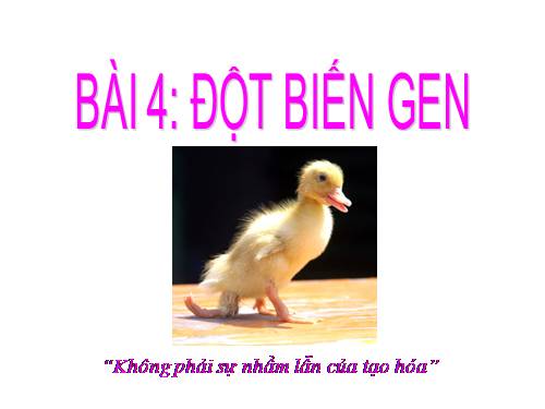 Bài 21. Đột biến gen