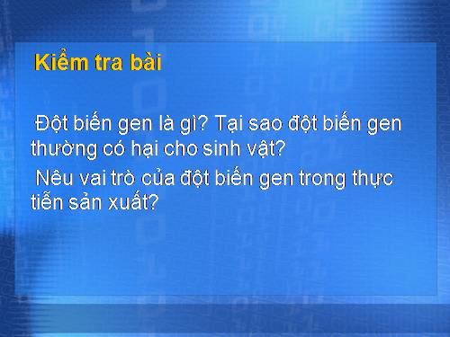 Bài 22. Đột biến cấu trúc nhiễm sắc thể