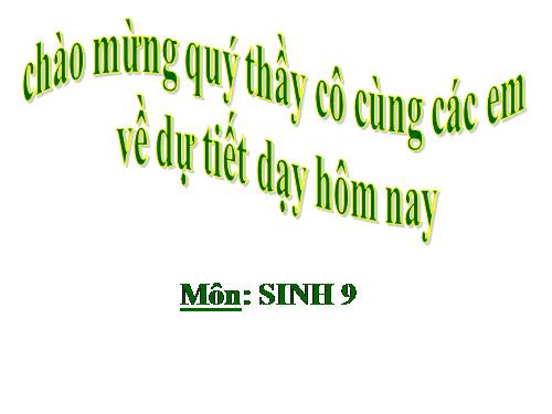 Bài 19. Mối quan hệ giữa gen và tính trạng