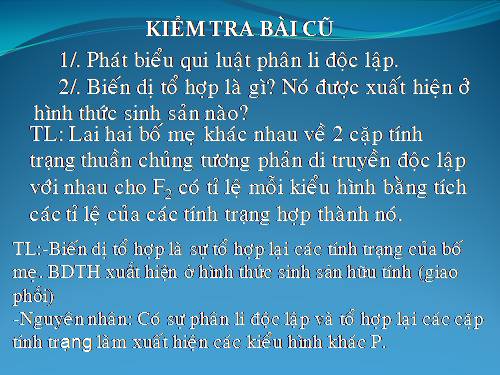 Bài 5. Lai hai cặp tính trạng (tiếp theo)