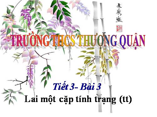 Bài 3. Lai một cặp tính trạng (tiếp theo)