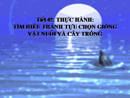 Bài 39. Thực hành: Tìm hiểu thành tựu chọn giống vật nuôi và cây trồng